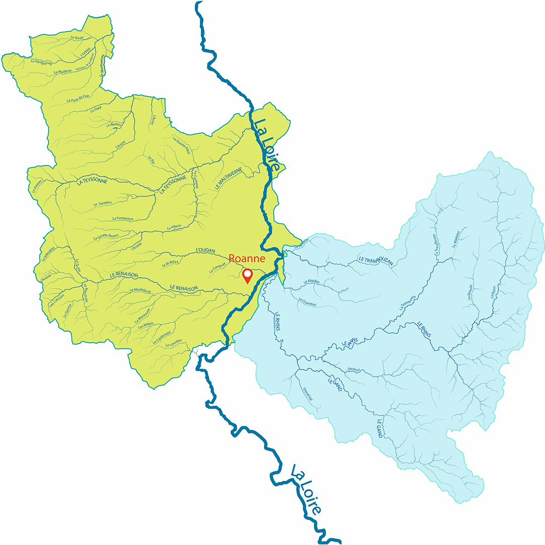 carto
