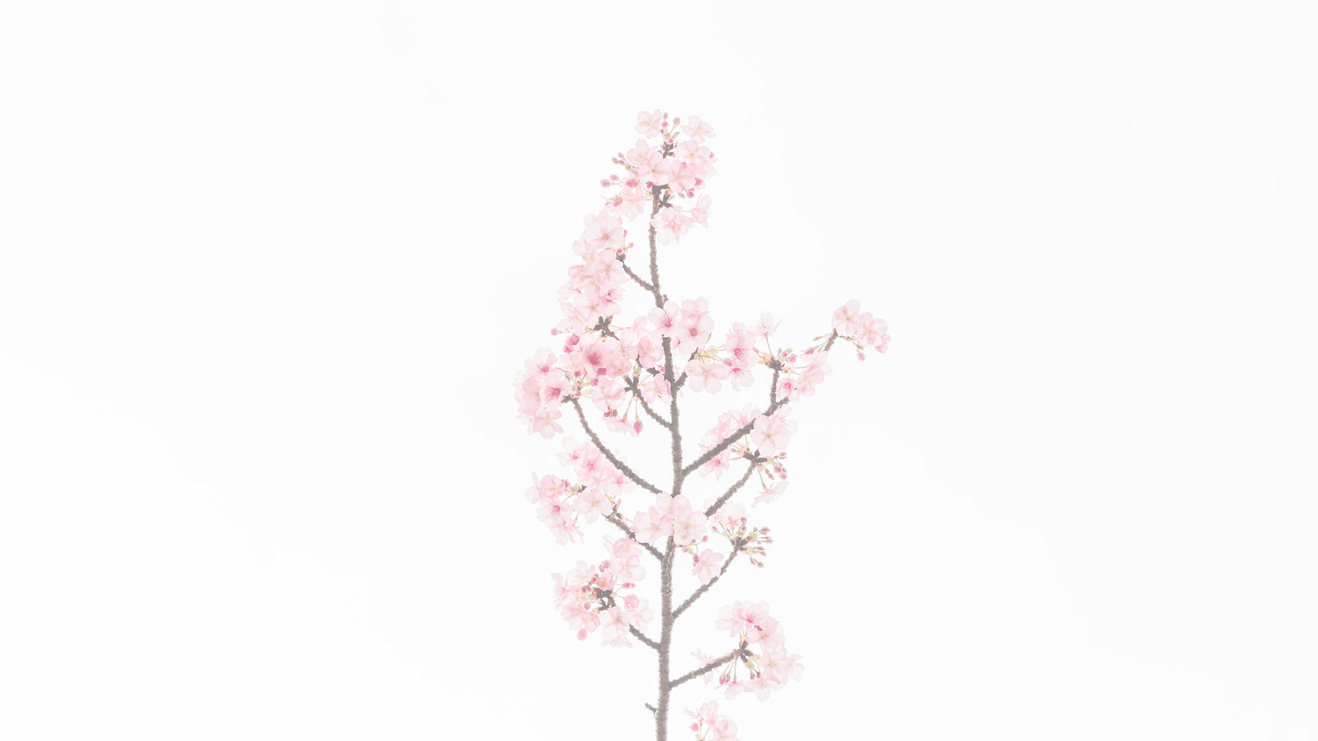 parallax background